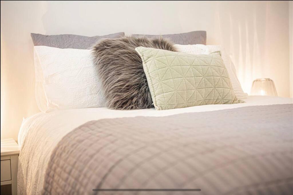 City Centre Apartment Close To Hagley Park 크라이스트처치 외부 사진